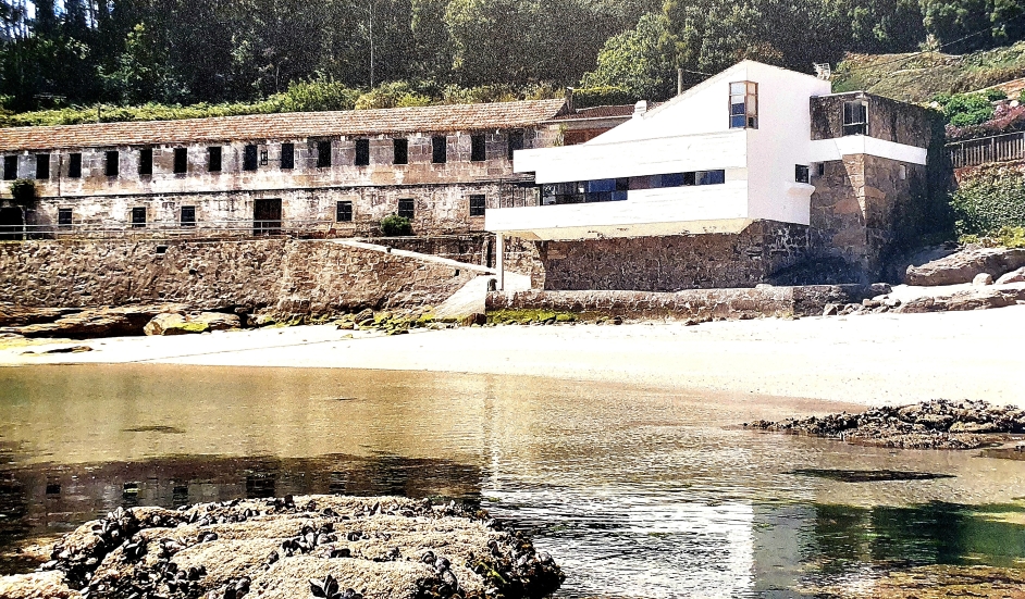 1669367848_OPCION PORTADA2 (1).jpg